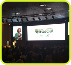 Painel de LED aplicado no segmento EVENTOS